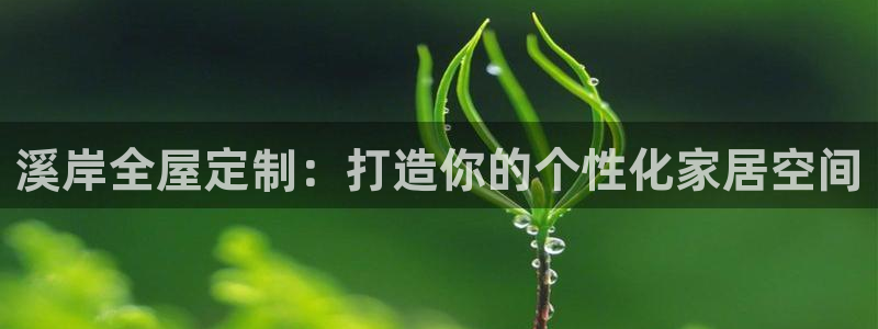 bb电子哪个平台好出款啊