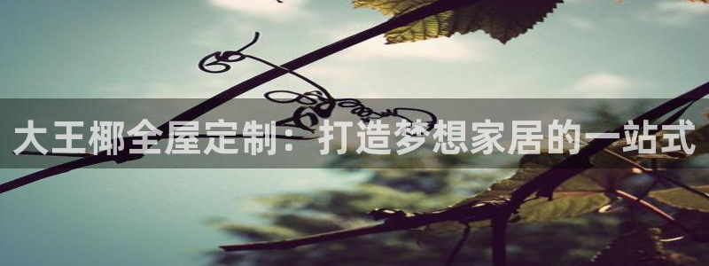 bb电子为什么总赢不了