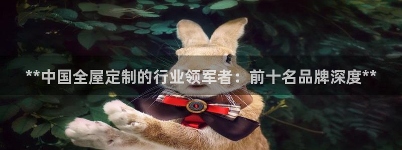 BB电子锁怎么接电