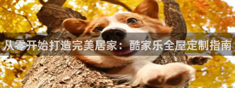 bb电子哪个游戏好赢钱