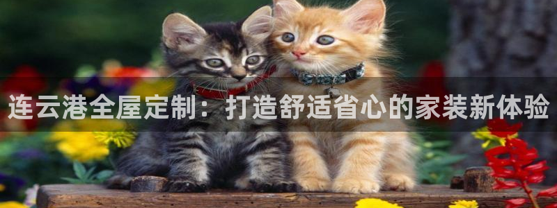xbb电子游艺