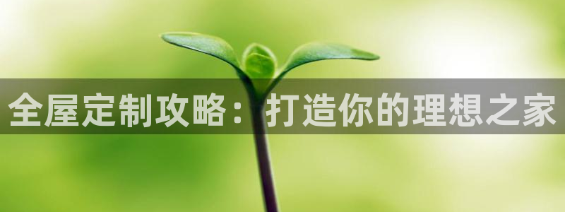 Bb电子琴和弦是哪个