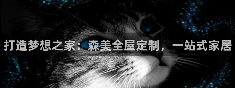 BB电子哪个平台好出款