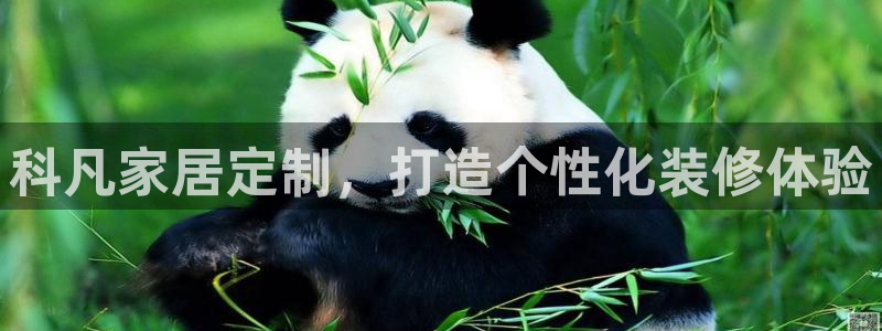 bb电子哪个游戏好赢钱一点