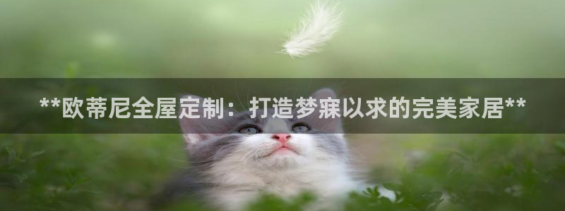 BB电子开户