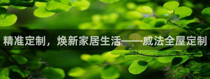 bb电子哪个平台好啊