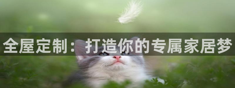 网上bb电子为什么那么假