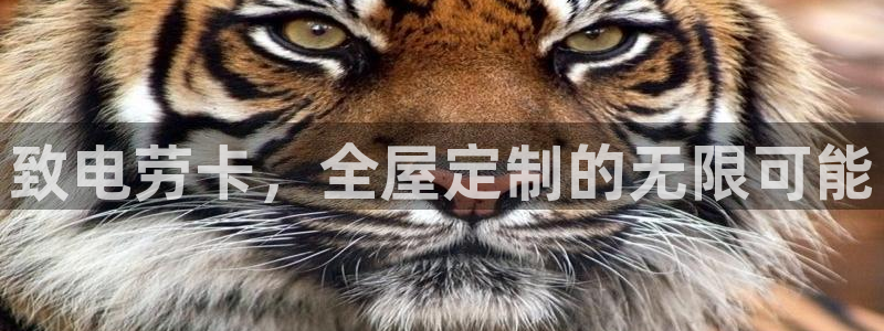bb电子mini彩金掉落规则