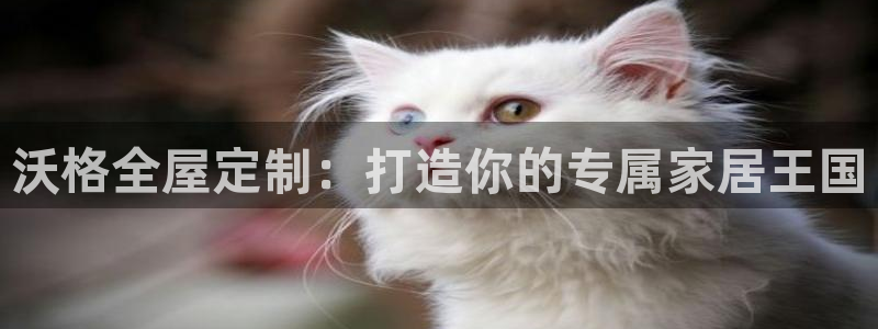 bb电子哪个平台好一点