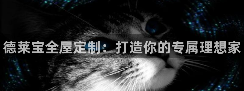 bb电子怎么英语怎么说