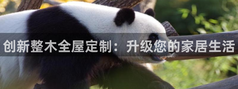 bb电子怎么英语怎么说