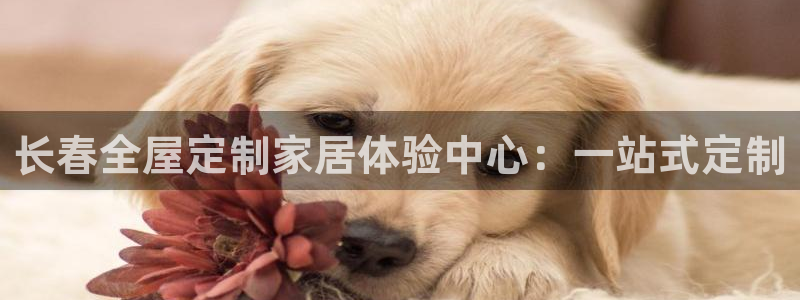 网上bb电子为什么那么假