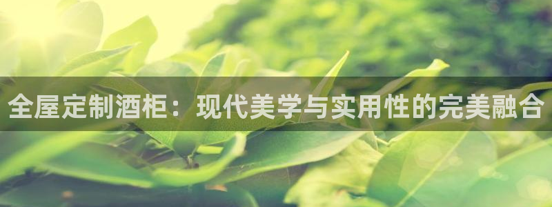 BB电子锁怎么接电