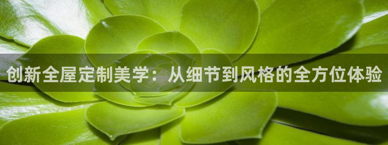 BB电子烟官网