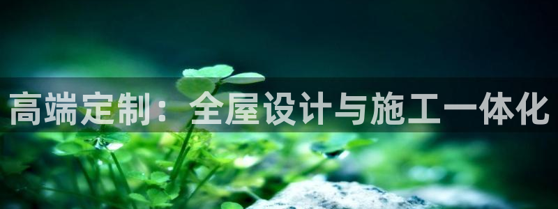bb电子中了Major怎么算